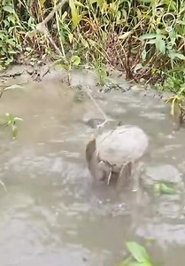 Fishing Done Right! 🎣 | Bac Idea