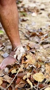 13K views · 608 reactions | MVD Kerala Kerala State Electricity Board #SafetyFirst #fbreelsfypシ゚viral | Kerala Fire And Rescue Services | Facebook