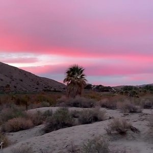 Magic Hour 💞 Coachella Valley Video! - by politigator #magichour #desert #californiadesert #thousandpalms #oasis #sunset #coachellavalley #nature #naturephotography | Coachella Valley