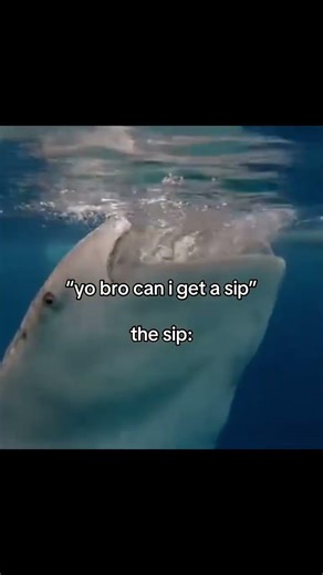 Yo bro can i get sip