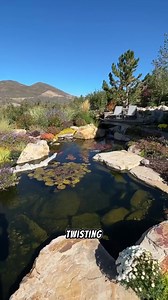 Greg Wittstock the Pond Guy Utah Pond is looking incredible! #pond #waterfall #rainwaterharvesting #ecosystem | Ed The Pond Professor