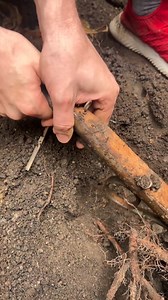 123K views · 1K reactions | old riffle found buried and forgotten An old riffle found buried and forgotten in a yard in Nashville. This was the first time i went metal detectoring in the south. So happy I was filming this but I have no idea what it is. Looks like a riffle to me. | The Monroe Family | Facebook