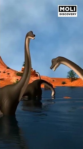 Có bao nhiêu thiên thạch rơi xuống trái đất mỗi năm? | Moli Discovery #shorts