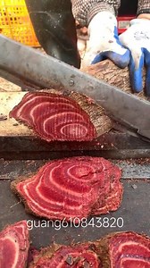 Amazing video | Daisy Fashion