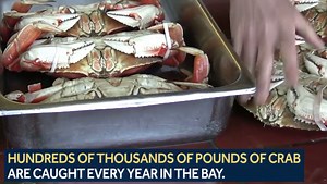 Central Coast Spotlight: Crabbing in the Monterey Bay