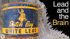 What Does Lead Poisoning Do To Your Brain? | Gross Science