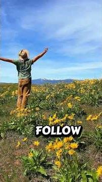 Wildflower farts are the MOST fragrant