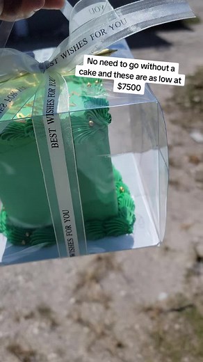 Cake Delight 876 on TikTok