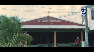 NUEVA ECIJA TASK FORCE KALIKASAN INIENGGANYO ANG NOVO ECIJANONG I-REPORT ANG LANGAW Ulat ni Delfin Agustin Ilao Iniengganyo ng Nueva Ecija Task Force Kalikasan na ireport ng kababayang Novo Ecijano kung nakababahala na ang dami ng langaw sa kanilang lugar. Sinabi ito ni Assistant Provincial Agriculturist at Dr. Jason de Guzman nang kanilang inspeksiyunin ang dalawang poultry farm sa Science City of Munoz, kamakailan. ### | DWNE Teleradyo | Facebook