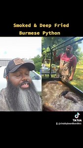 Would you try smoked deep fried python??? | Chubbybeardbandit NC