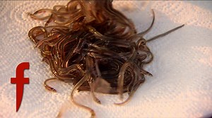 Gordon Ramsay heads to The Severn Bore to fish for the elusive Elvers. | The F Word Global