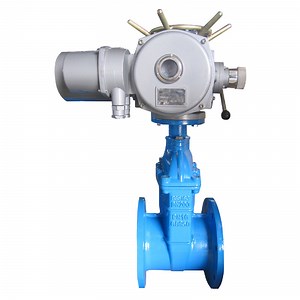 [Hot Item] Wcb Pn16 Cast Iron Motorized Gate Valve