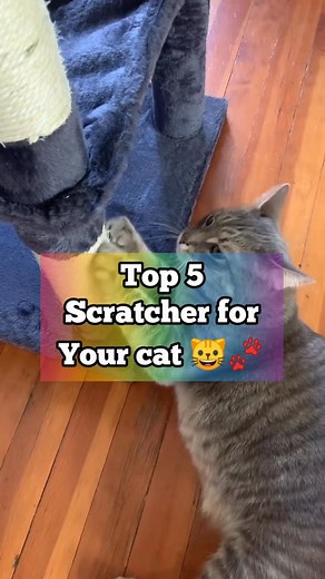 Scratch Happy: The Top Picks for Your Feline Friend In this video, we will showcase the top 5 scratchers for your cat. From traditional scratching posts to modern designs, we have handpicked the best options to keep your feline friend entertained and their claws healthy. Whether you're looking for something stylish or budget-friendly, we've got you covered. So sit back, relax and watch as we guide you through the top scratchers for your cat. | Ask My Cats