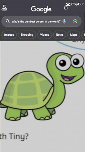 TINY THE TURTLE #british #primaryschool #whiterose