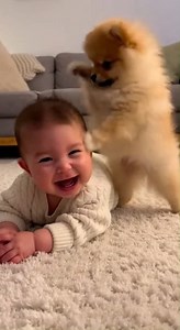 688K views · 9.6K reactions | Dog gives baby a head massage | Lina Tamasari | Facebook