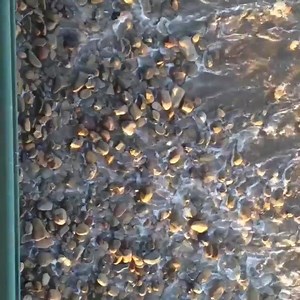 Richard Marx on Reels