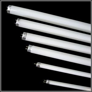 [Hot Item] 54W Fluorescent Lamp T5 Tube
