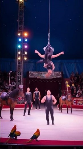 Cute Circus #DreamScreenAI