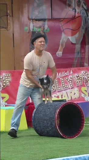 Mutts Gone Nuts Practice Session