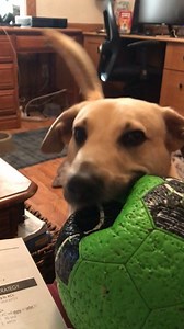 2.2K views · 120 reactions | When I'm watching a lecture on YouTube and glance over to the recommended videos. | Lex Fridman | Facebook