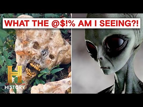UNBELIEVABLE Eyewitness Alien Encounters | The Proof Is Out There | History