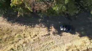 15K views · 402 reactions | A view of Cedar Ridge Whitetails | Cedar Ridge Whitetails | Facebook