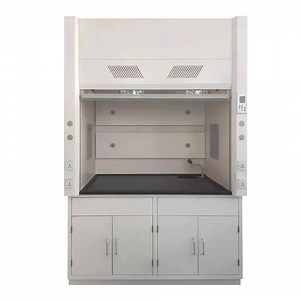 [Hot Item] Vertical Sliding Sash Full Open Chemical Laboratory Fume Hood Portable Fume Hoods with Wheel