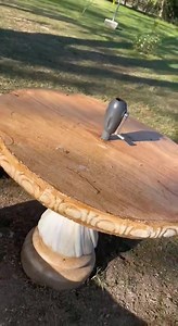 5K views · 56 reactions | Nos fuimos de paseo y Conocimos un Lugar Maravilloso  Navis TV te Conecta麗麗 | Navis TV | Facebook