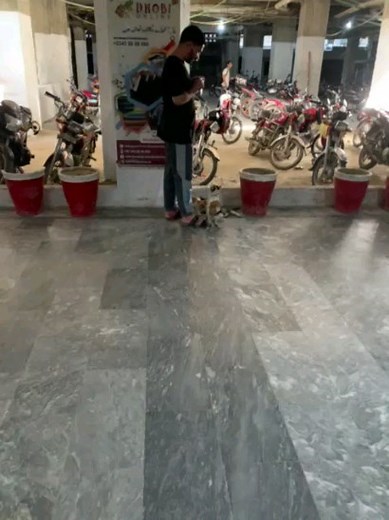 Our very brave Afghan Animal Rescuers that are refugees waiting on...