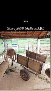 642K views · 4.3K reactions | 藍 #driving #driver #women | كنوزْ الحكمة | Facebook