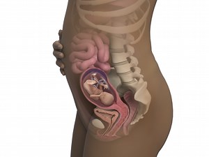19 Weeks Pregnant: Symptoms & Signs