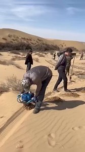 La reforestation du désert de Gobi un projet impressionnant #forestation2019 #rrforestaciónmasiva‼️🗣✍️🌎 #followforfollowback | IDY OULO page