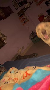 Jenny ni tomomg papa chini bad bo chekon hinkhe bno chong bai mothor mnya ta uff hy mang dili no masum chehera kai funogo #vairalpost | Prity Debbarma