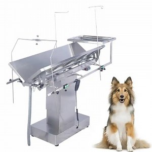 [Hot Item] Mt Medical Surgical Electric Veterinary C-Arm Operation Table Animal Surgery Vet Surgical Table for Vet