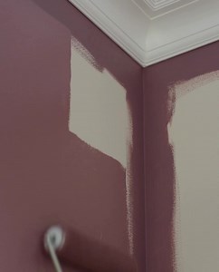 54 reactions · 13 shares | Transform your space with colour drenching...