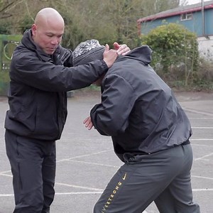 33K views · 1K reactions | Basic and simple wing chun! What to build...