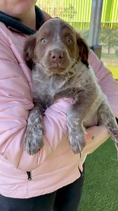 17K views · 333 reactions | Does this look like something you would...