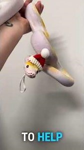 🐍 Sunflower 🐍Reticulated Python | FemalePurple Platty Pied Morph Meet Sunflower