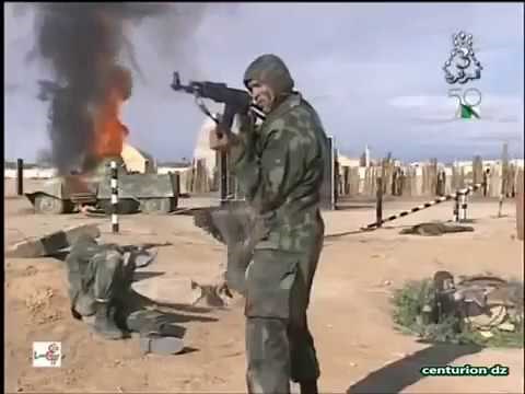 algérieinfo - Forces Spéciales de l'Armée Nationale Populaire algerienne (ANP) - الجيش الجزائري