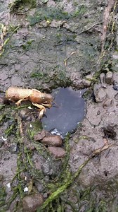 67K views · 825 reactions | Search YT for: Jake Colvin | Jacob Colvin | Facebook