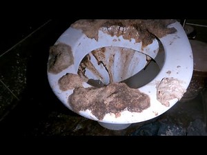 The ABSOLUTE WORST Toilet Unblock we've ever done!