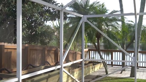 The tiny bird that almost became hawk lunch