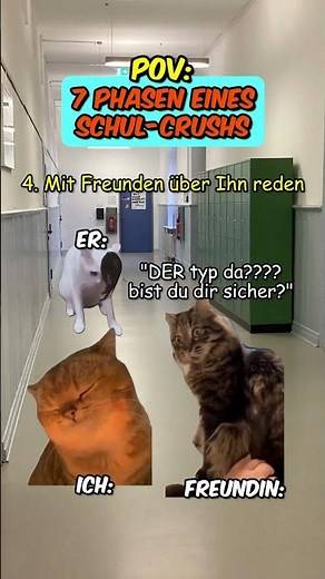 PoV: 7 Phasen wenn man einen Crush in der Schule hat #katzenvideos #katze #schule