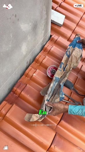 Why Don’t More Homes in the U.S. Seal Roofs Like This?#construction #roofing #waterproofing #builder #homeimprovement