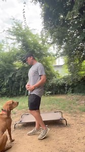 Board and Train student Betty is hard at work with trainer Austin, focusing on the basics—come, sit, and place. These foundational commands are key to building her obedience and setting her up for success.  Stay tuned for more updates as Betty continues to learn and grow! #offleashk9trainingrva | Off Leash K9 Training, LLC Richmond/Ashland | Facebook