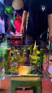 76K views · 349 reactions | Đang bí ý tưởngContent tự tìm đến 藍藍藍Tiện khách hỏi combo 433 layout Rừng Bay Bách Khoa aqua cập nhật luôn để bác nào cần thì ủng hộ shop  | Bách Khoa Aqua | Facebook