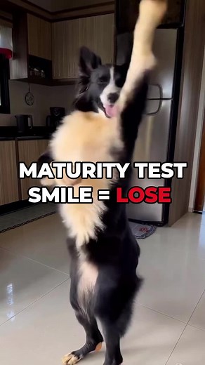 Try Not To Smile Challenge — Which Level Broke You?