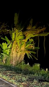 2.1M views · 34K reactions | Feb 2, 9:08 PM  Naklaro na gyud  Ikaw gyud henungdan ani RDM Cagayan de Oro | Katawa CDO Doodzkie | Facebook