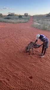 Just imagine if there was nothing in that bowl | David Benoit