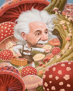 Neverlasting Miracles is an exquisite career retrospective, presenting the best works of artist Todd Schorr. One of the leading figures in the world of contemporary surrealism, Schorr has continually and systematically set the bar ever higher in his quest to bring classic old master painting technique to his pop-culture-infused subject matter. This hefty volume collects over 30 years of Todd Schorr’s paintings with stunning reproductions, including many close-up details of his large and intricat